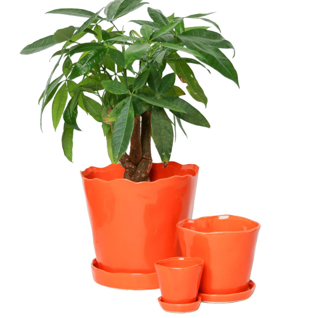 product-232066-1777389749-CHI04-0000613^3